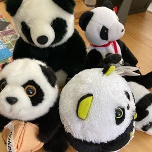 Panda plushie set